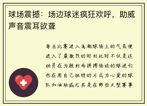 球场震撼:场边球迷疯狂欢呼,助威声音震耳欲聋