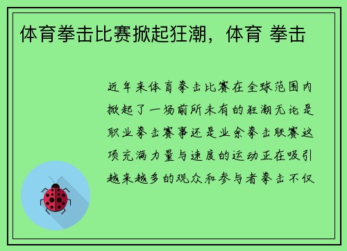 体育拳击比赛掀起狂潮，体育 拳击